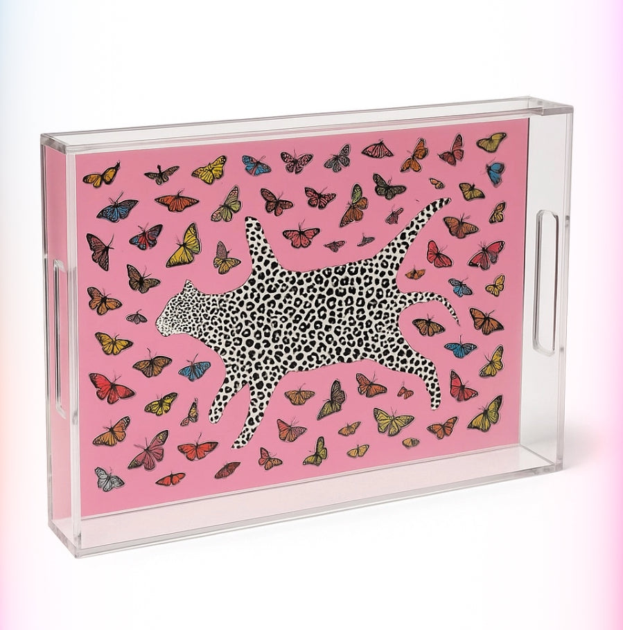 Beautiful Acrylic Trays